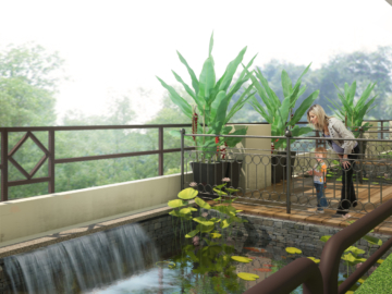 View 07_Pond Area_141010